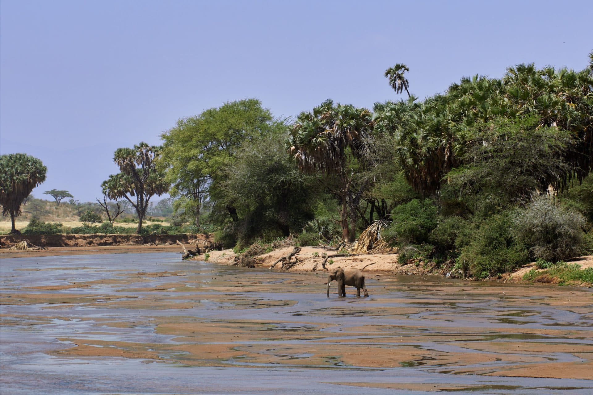 South Africa (Kruger Park), South Africa
