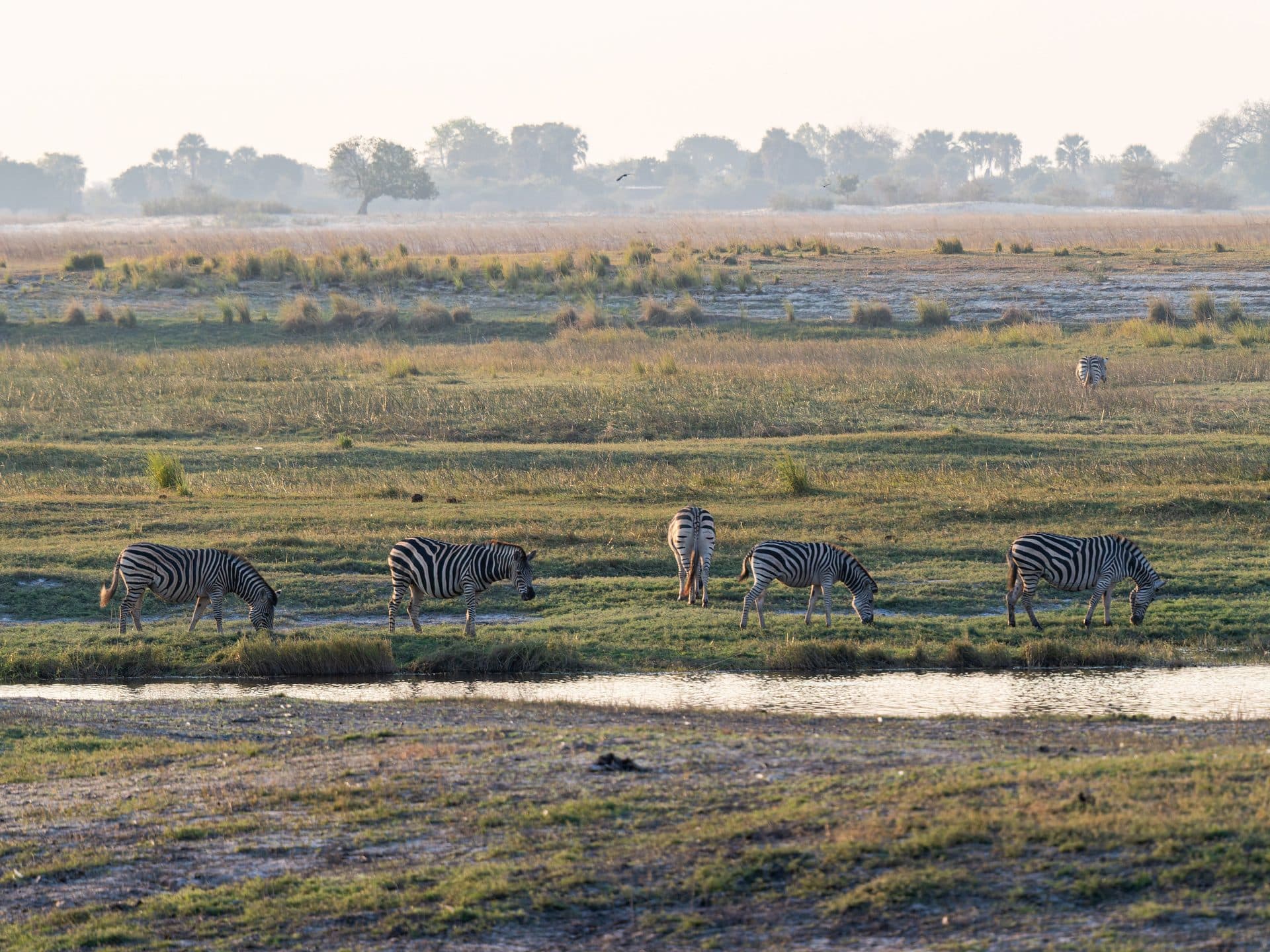 Botswana (Okavango Delta), Botswana