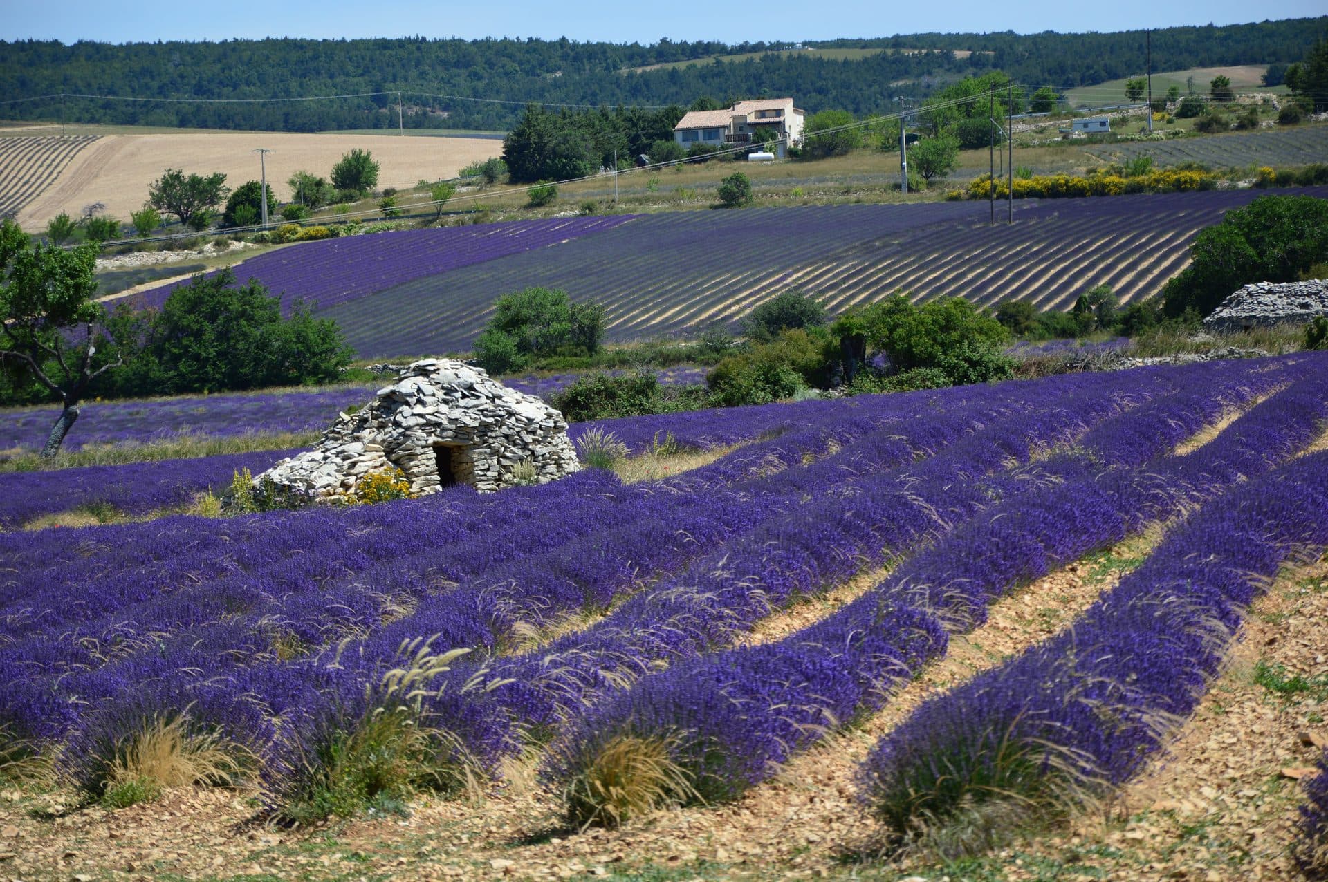 Provence, France