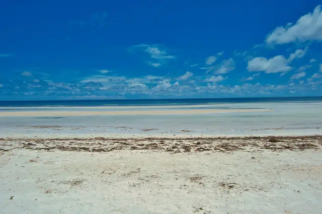 Kenya (Diani Beach)