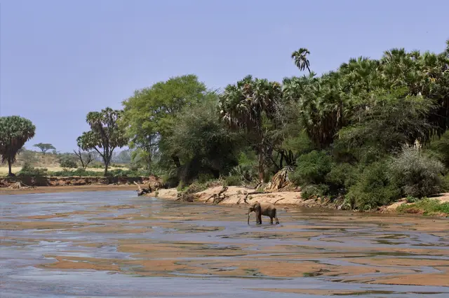 South Africa (Kruger Park)