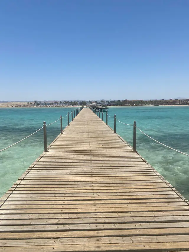 Egypt (Marsa Alam)