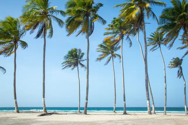 Martinique